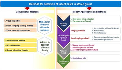 A comprehensive review on advances in storage pest management: Current scenario and future prospects